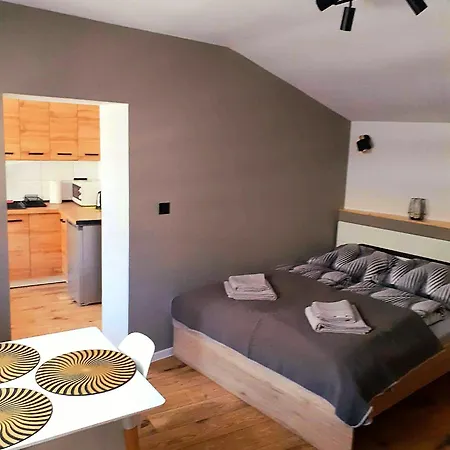 Apartament Czesia Sosnówka